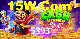 Premium Interface 5393